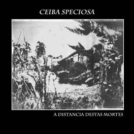Ceiba Speciosa – A Distância Destas Mortes