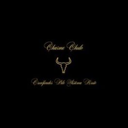 Charme Chulo – Crucificados pelo Sistema Bruto