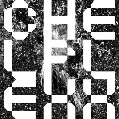 Chelplexx – Chelplexx