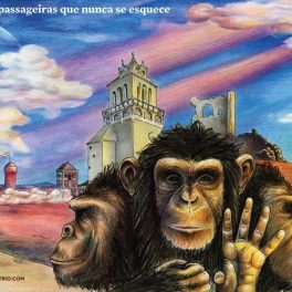 Chimpanzé Clube Trio – Coisas Passageiras que Nunca se Esquece