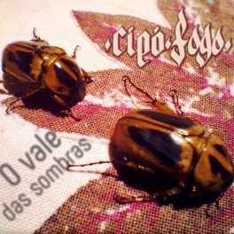 Cipó Fogo – O Vale das Sombras