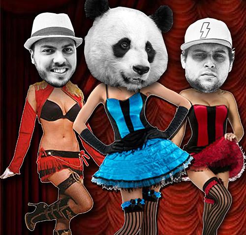 Cogumelo Panda – Cogumelo Panda