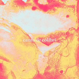 Colibri – Canto de Colibri