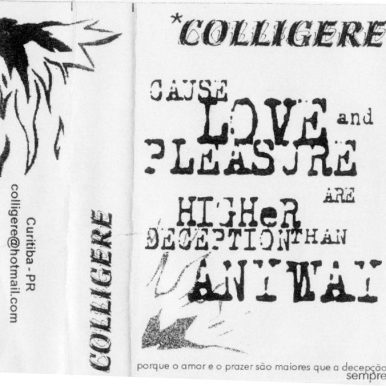 Colligere – Demo