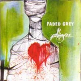 Colligere & Faded Grey – Split