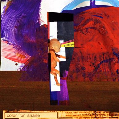 Color for Shane – Not an Embryo
