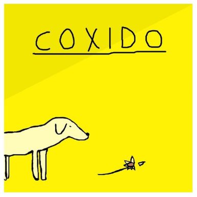 Coxido – I Hate Flowers