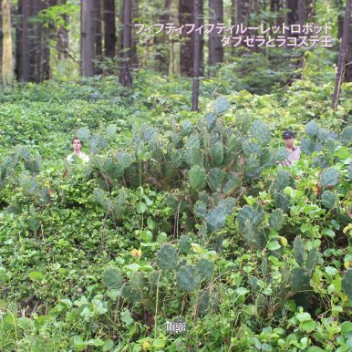 Davzera, Rei Lacoste – Robô de Roleta 50-50