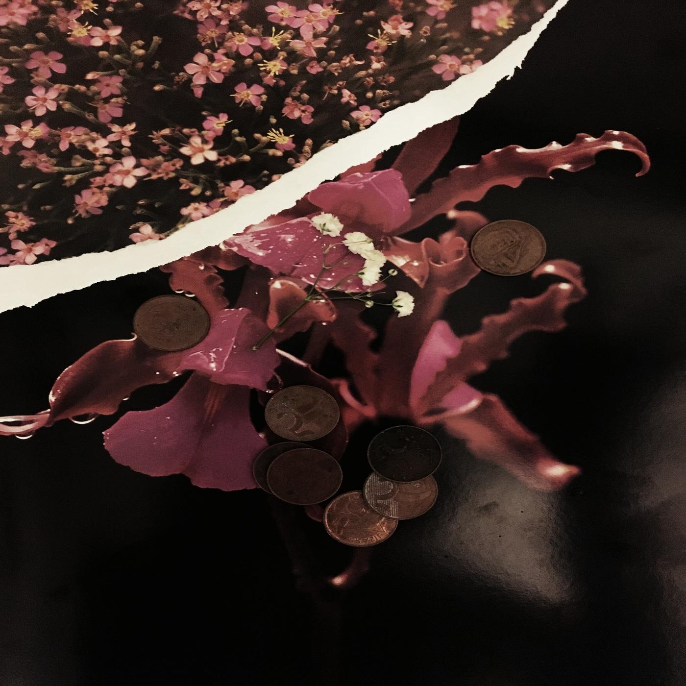 Davzera â Vale do SilĂcio