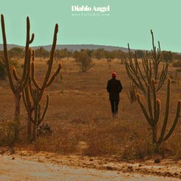 Diablo Angel – Futuro