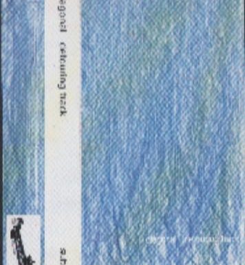 Diagonal – Detouring Track