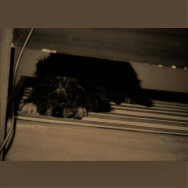 Diogo Dias – Crowded Bars And Deserted Streets (A Neighborhood)