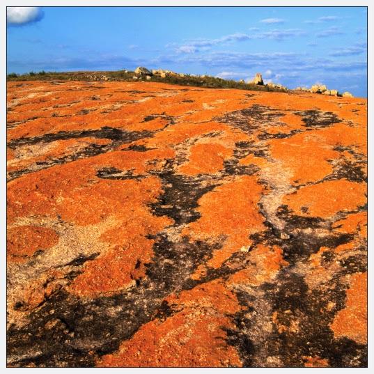 Dom de Oliveira – Pequena Odisseia Mística