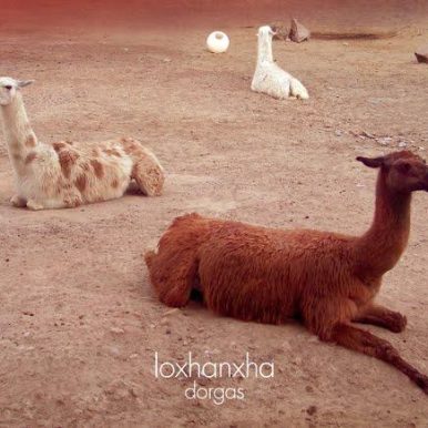 Dorgas – Loxhanxha