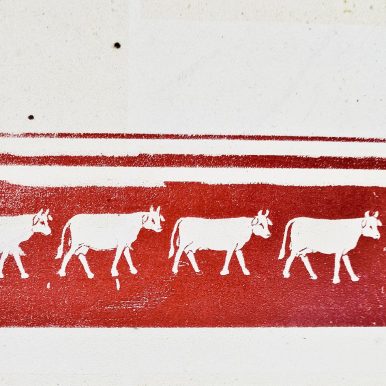 Dua Chipa – Causos da Matuta