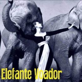 Elefante Voador – Elefante Voador