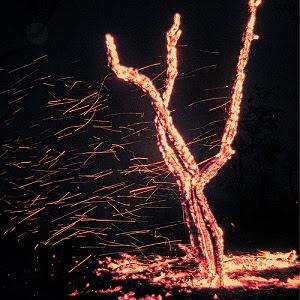 Em Agosto Chove – Ritus Movedissus