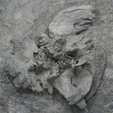 Eutanásia – Eutanásia