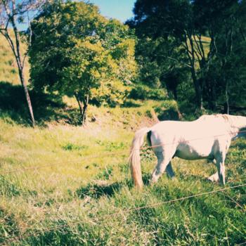 EXPLT – Alimentar EP