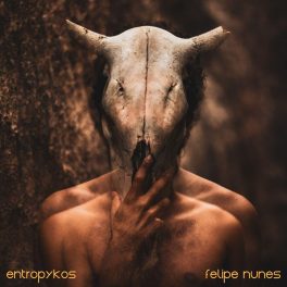 Felipe Nunes – Entropykos