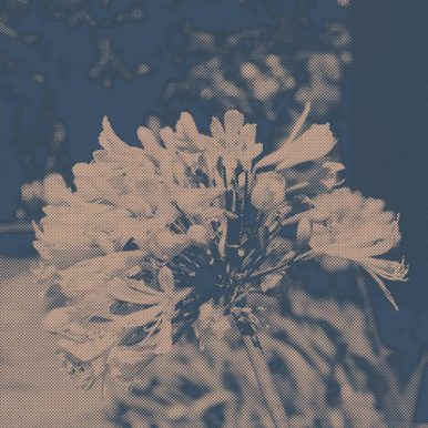 Ferla – AP​-​013 13122017