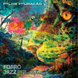 Flor Furacão – Forró Jazz do Cerrado