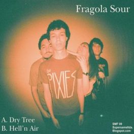 Fragola Sour – Demo