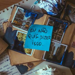 GaĂȘ – Eu NĂąo Quis Dizer Isso