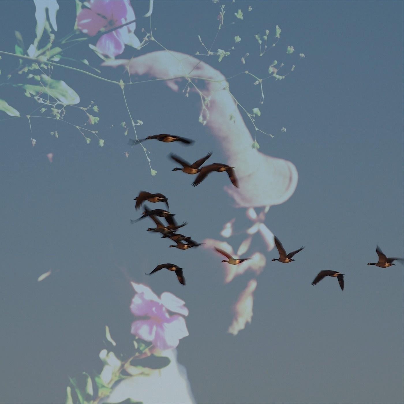 George Christian – Aos Pássaros Outonais