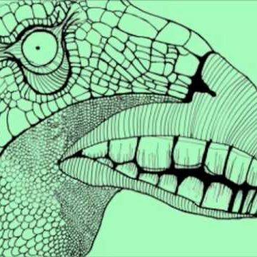 Gigante Animal – Xaêra