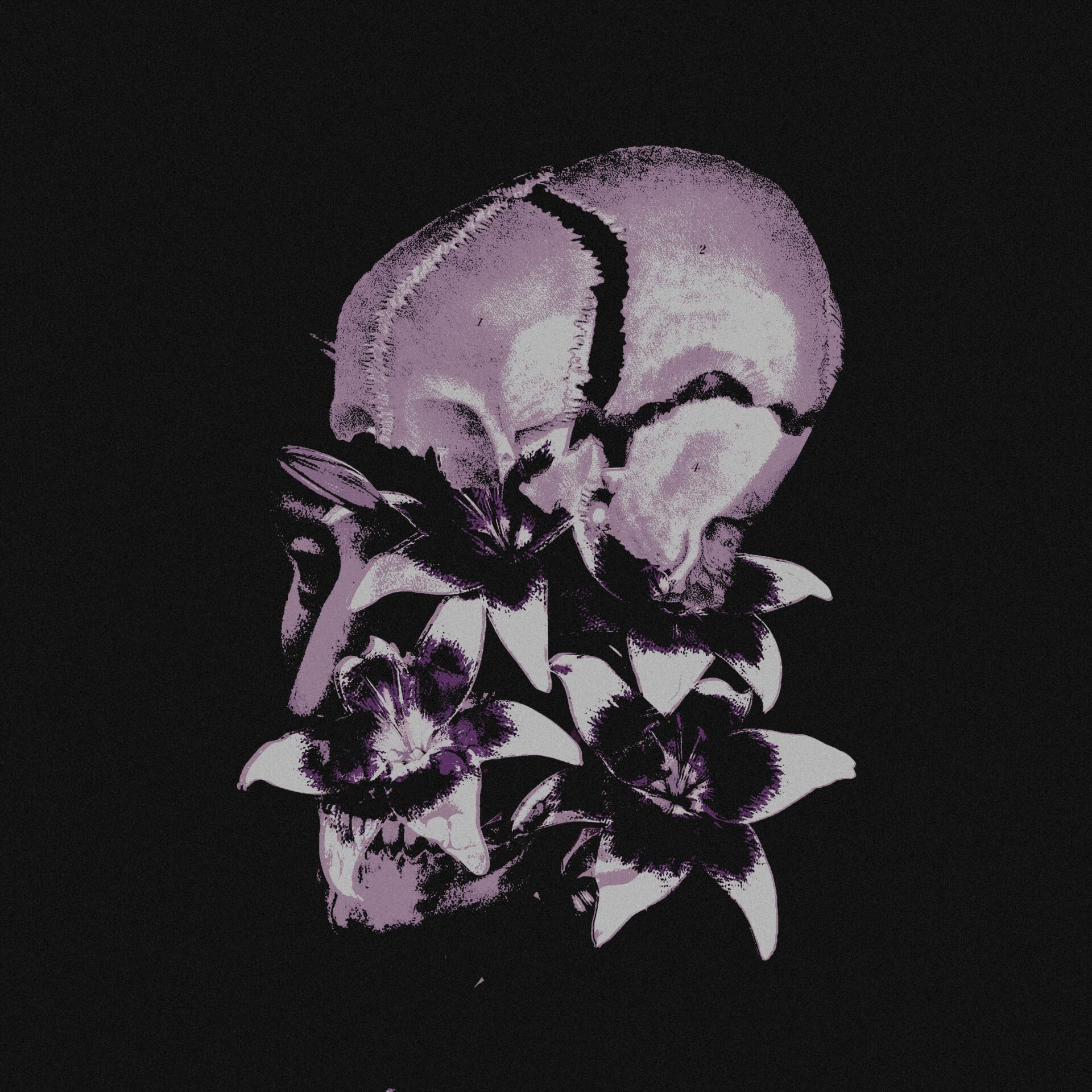 Gloios – Polvorosa