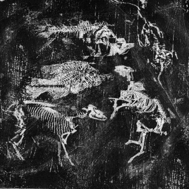 God Pussy – Animal