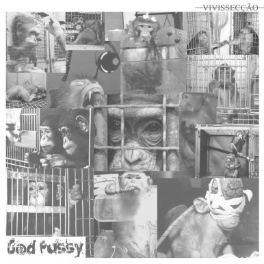God Pussy –  ̶v̶i̶v̶i̶s̶s̶e̶c̶ç̶ã̶o̶