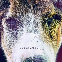 GOD∆S∆DOG – Hoje