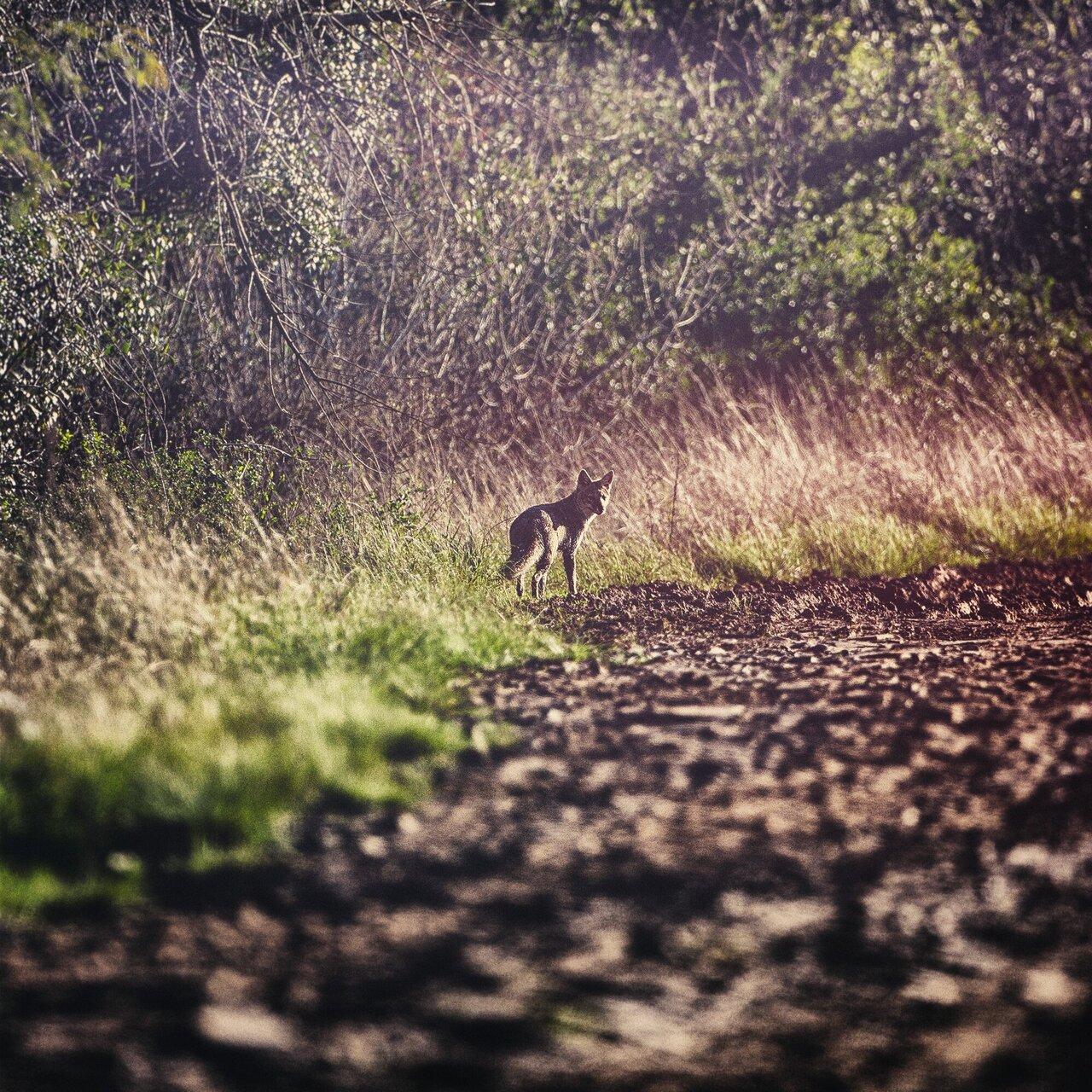 Graxa.im – Passado