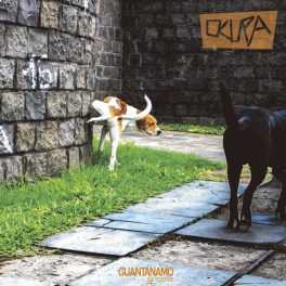 Guantánamo Groove – Ocupa