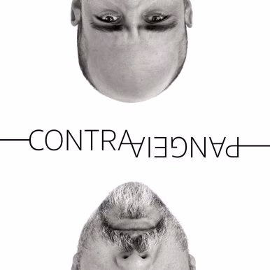 Gui Amabis – Contrapangeia