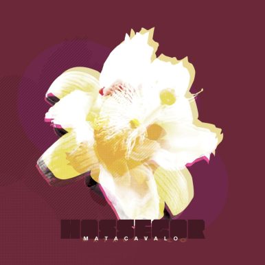 Hossegor – Matacavalo