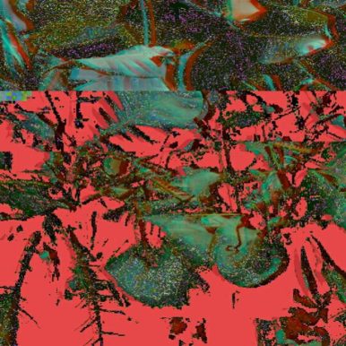 Ideias, etc – Estrelado