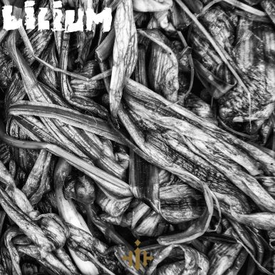 Impoluto – Lilium