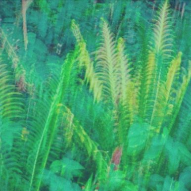 João Castellani – Passagem