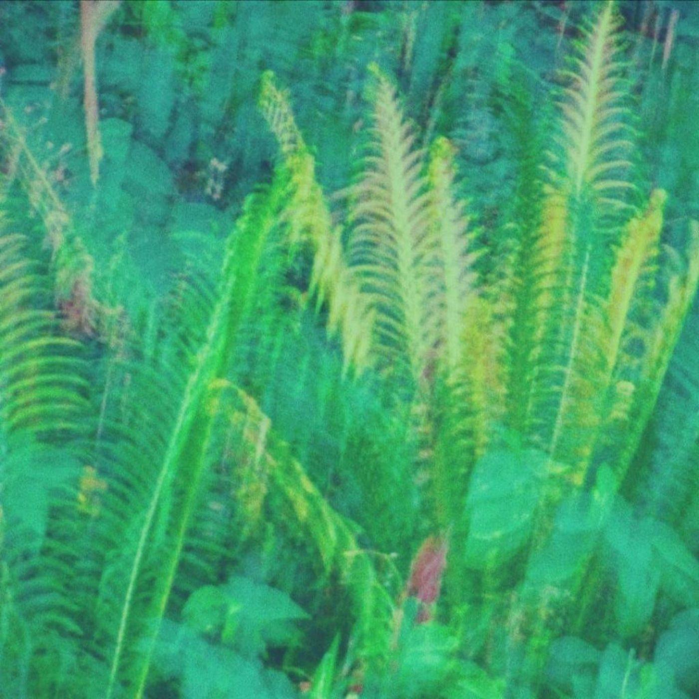 João Castellani – Passagem