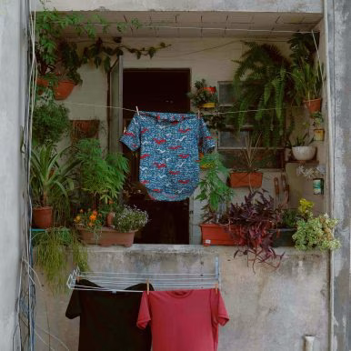 João Pedro Cé – Broto