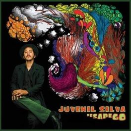 Juvenil Silva – Desapego