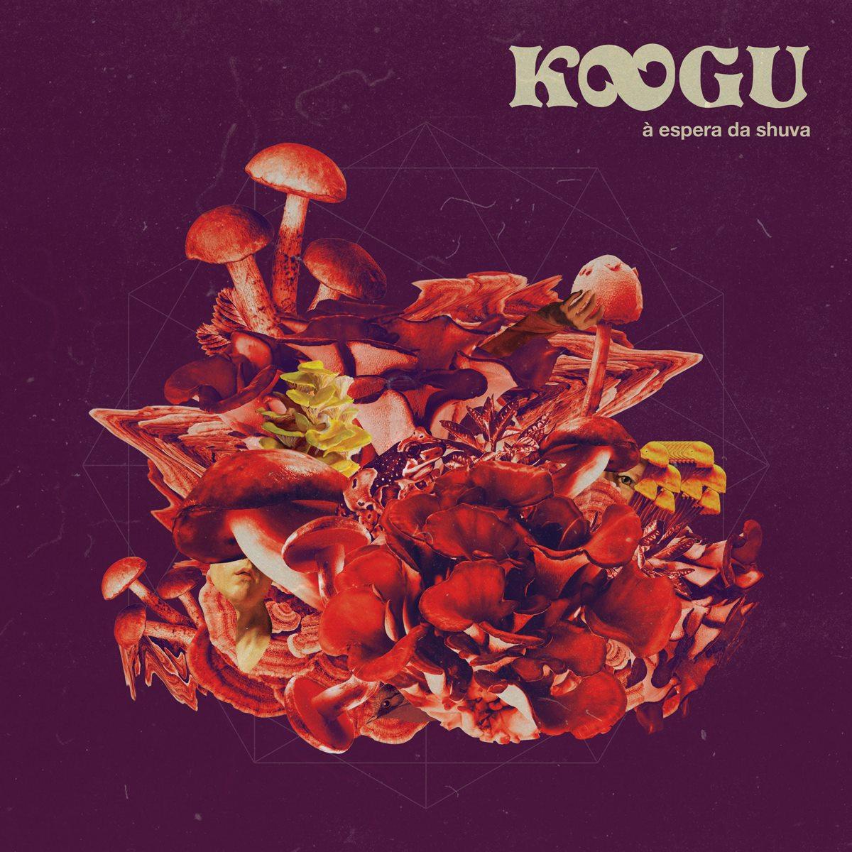 Koogu – À espera da shuva