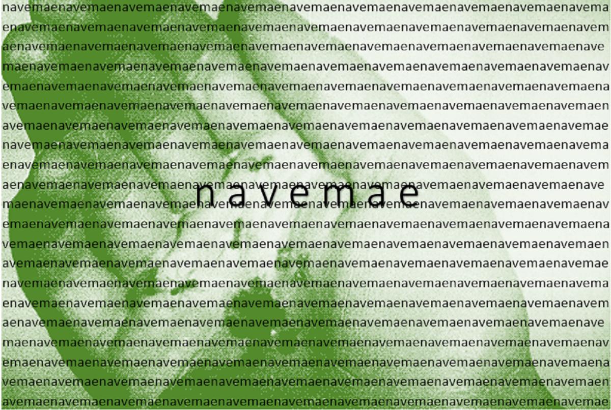 L.A. Fernandes – Navemae EP
