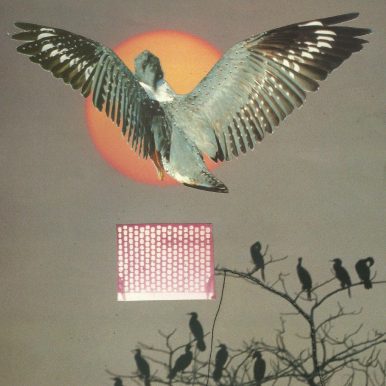 Lê Almeida – Aulas