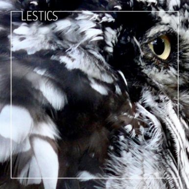 Lestics – Aos Abutres