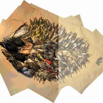 Lingering Last Drops – North