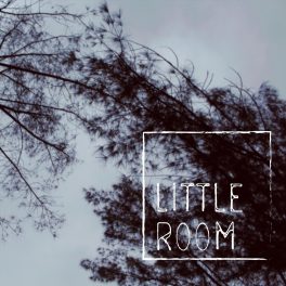 Little Room – Little Room EP